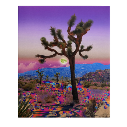 Joshua Tree Moon Canvas