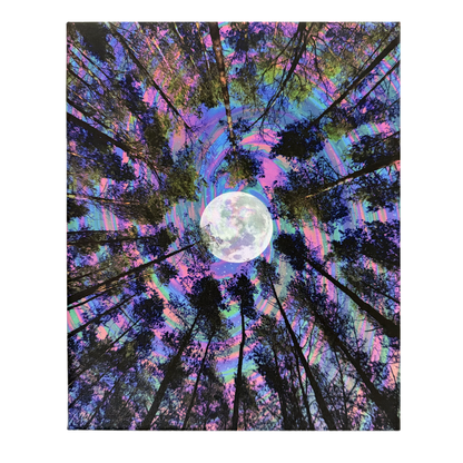 Moon Trees Canvas