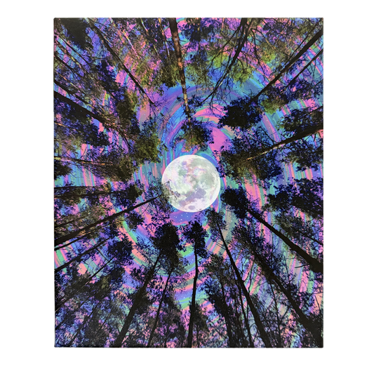 Moon Trees Canvas