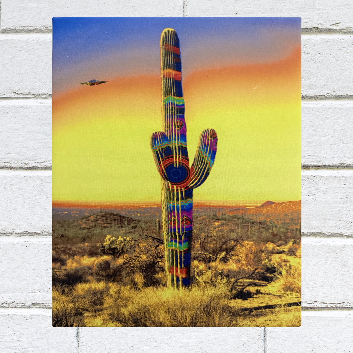 Cactus UFO Canvas