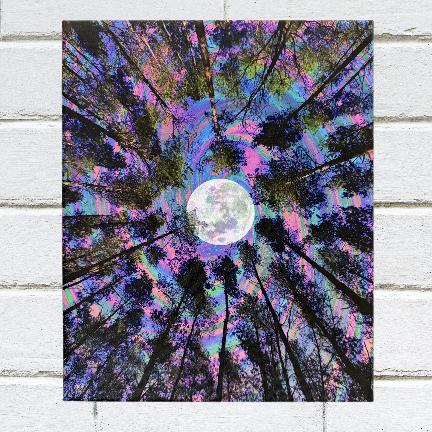 Moon Trees Canvas