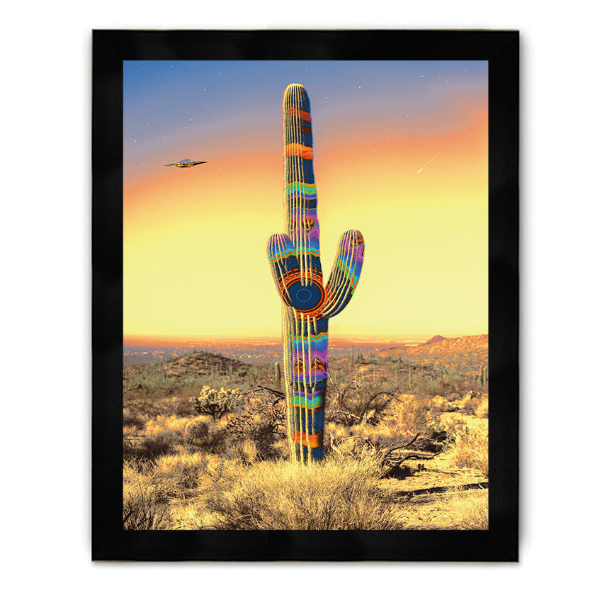 Cactus UFO Framed Poster