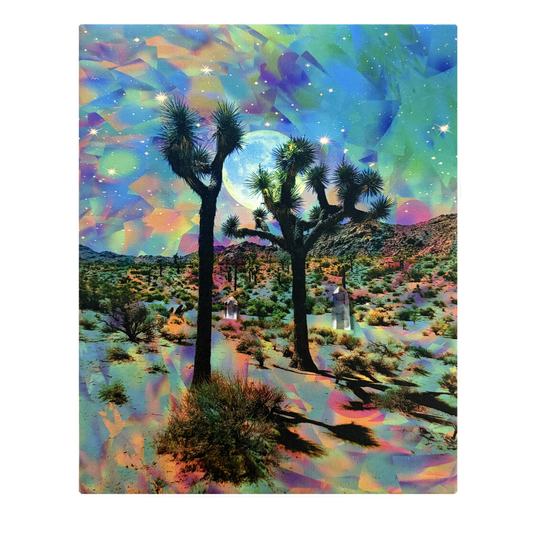 Joshua Tree Crystals Canvas