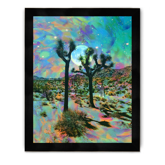Joshua Tree Crystals Framed Poster