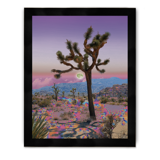 Joshua Tree Framed Poster