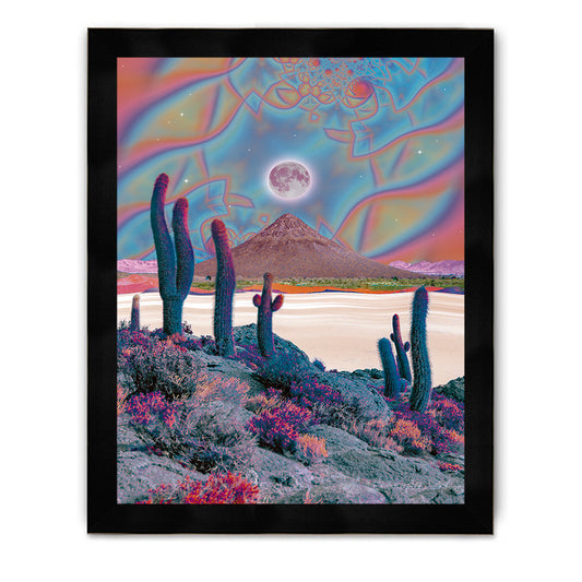 Desert Moon Framed Poster