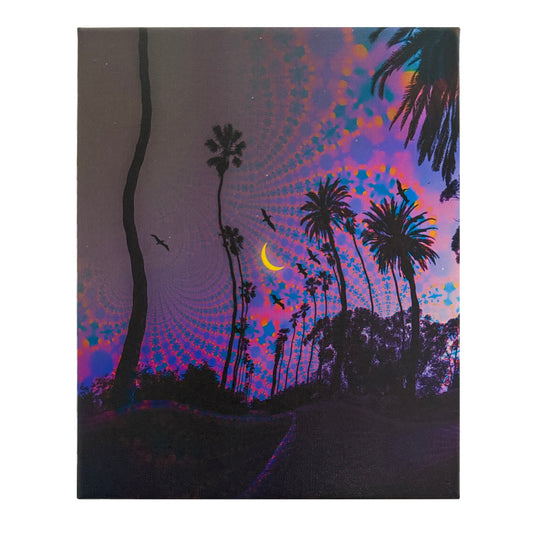 Palm Crescent Moon Canvas