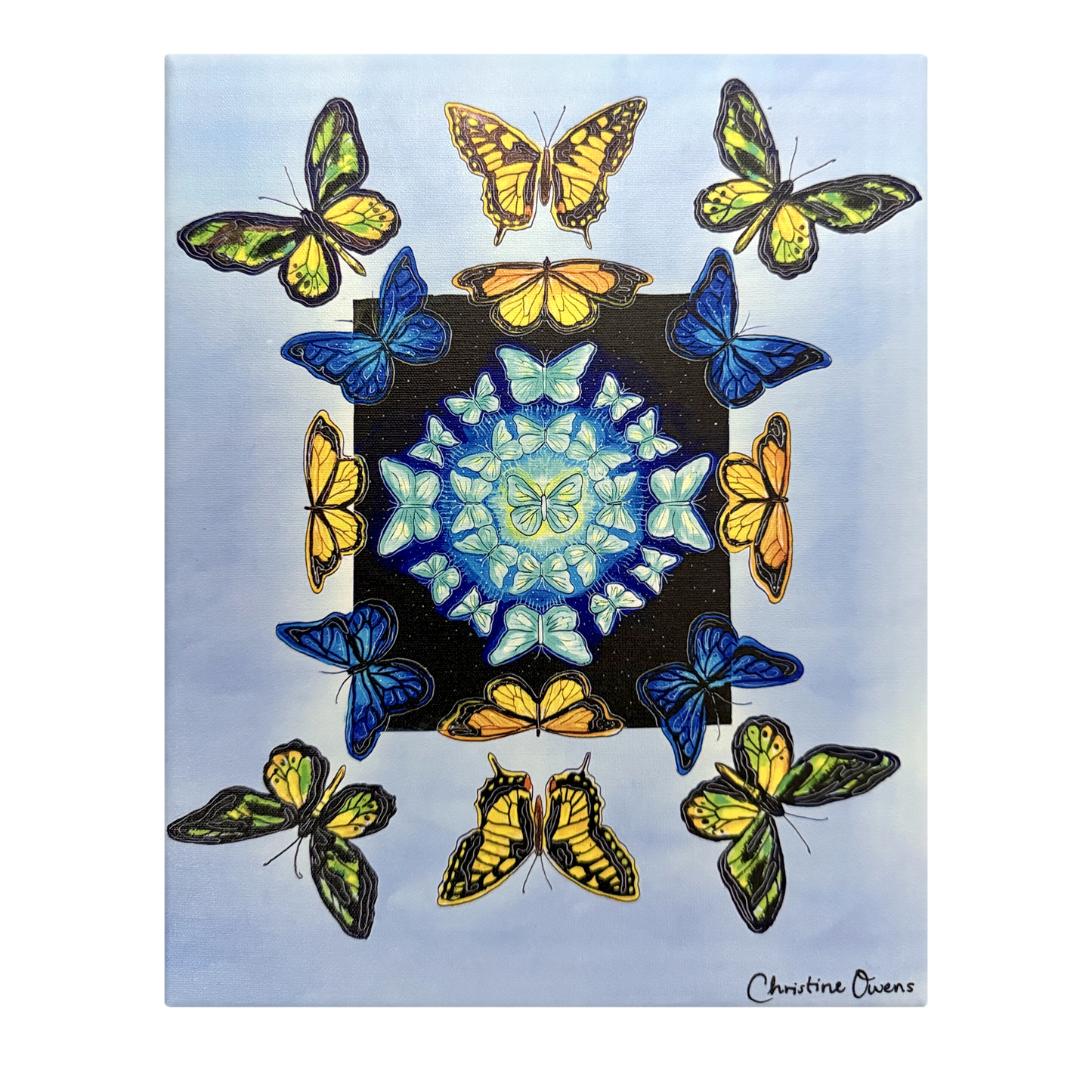 Butterfly Energy Canvas