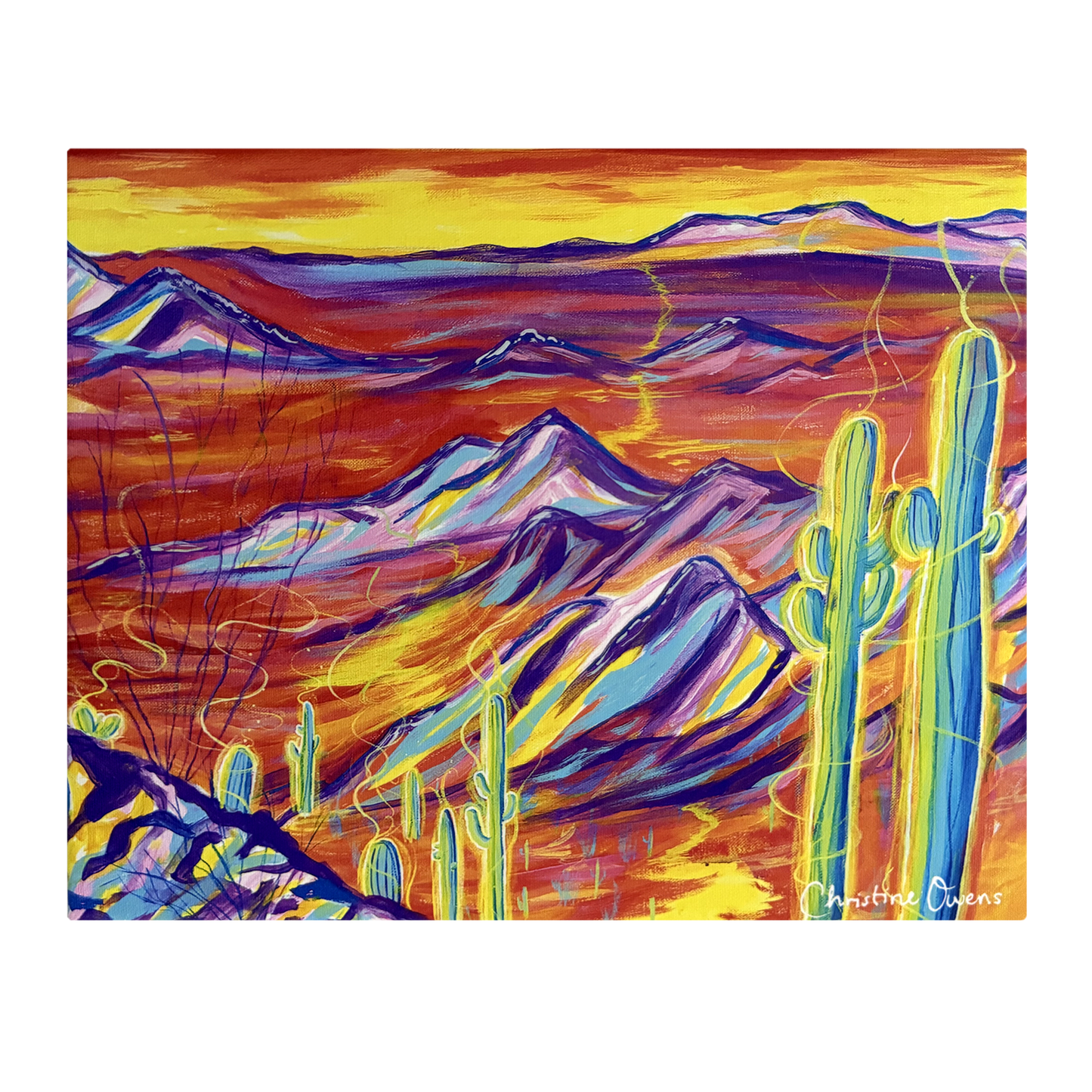 Vibrant Desert Canvas