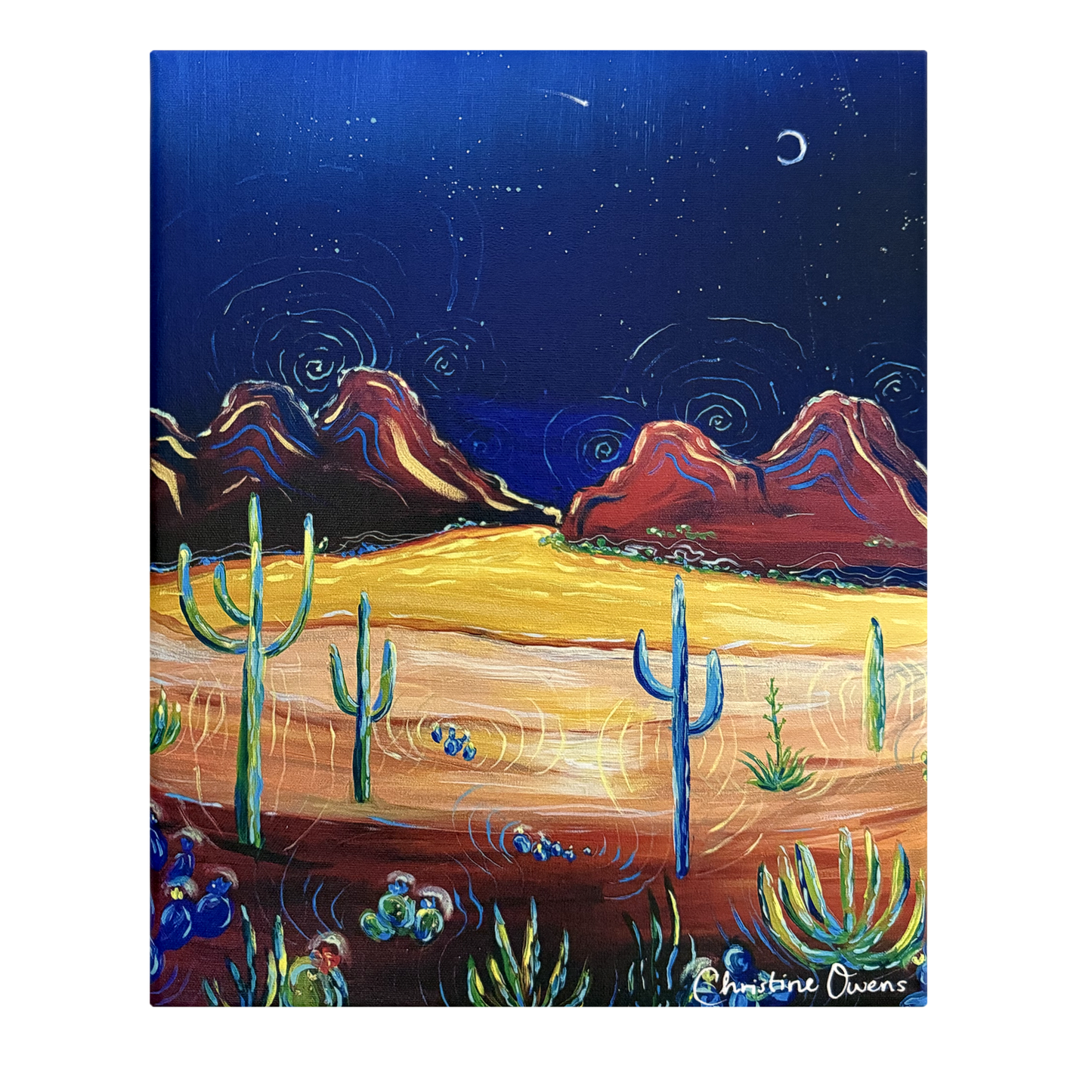 Desert Night Canvas