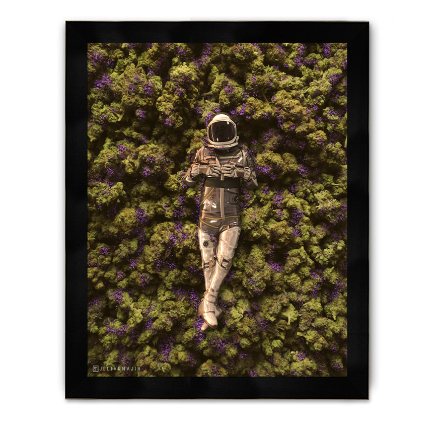 Astro Weed Nugs Framed Poster