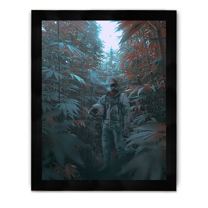 Alien Weed Framed Poster