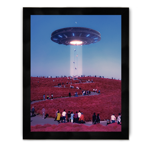UFO Framed Poster